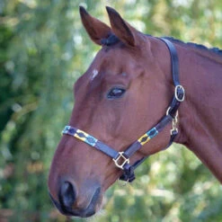 Shires Leather Polo Headcollars - All Colours -The Horse Care Shop shires shires leather polo headcollars all colours 45986.1631825560