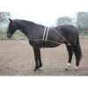 Shires Lunging Aid -The Horse Care Shop shires shires lunging aid 31143.1631696654