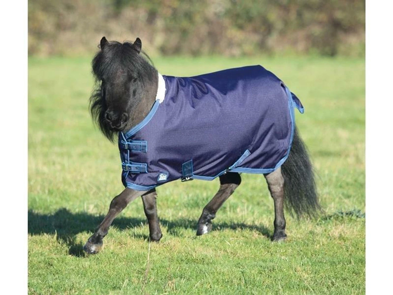 Shires Miniature Pony Turnout Rugs 3 Shires Miniature Pony Turnout Rugs
