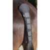 Shires Neoprene Tail Guards -The Horse Care Shop shires shires neoprene tail guards 63005.1631696441