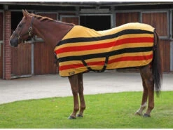 Shires Newmarket Fleece Rugs - All Colours