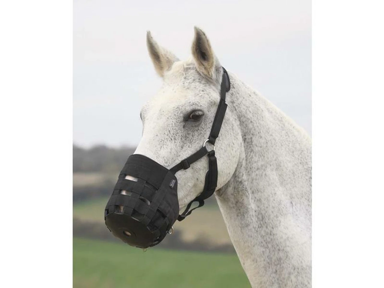 Shires Nylon Grazing Muzzle 3 Shires Nylon Grazing Muzzle