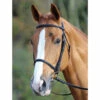 Shires Raised Cavesson Bridles (5000) -The Horse Care Shop shires shires raised cavesson bridles 5000 16176.1631696187