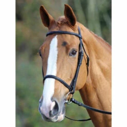 Shires Raised Cavesson Bridles (5000)