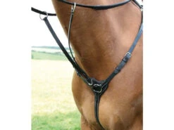 Shires Salisbury 3 Point Breastplates