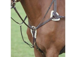 Shires Salisbury 5 Point Breastplates