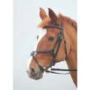 Shires Salisbury Brackley Grackle Bridle