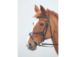 Shires Salisbury Brackley Grackle Bridle
