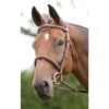 Shires Salisbury Fairford Cavesson Bridle 1 Shires Salisbury Fairford Cavesson Bridle -The Horse Care Shop shires shires salisbury fairford cavesson bridle 11602.1631698479