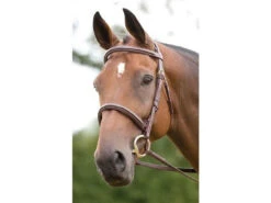Shires Salisbury Fairford Cavesson Bridle