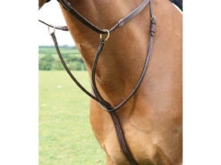 Shires Salisbury Running Martingales