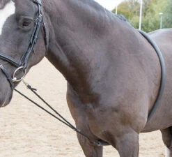 Shires Soft Lunging Aid