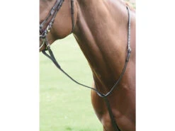Shires Standing Martingales