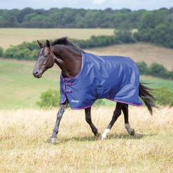Shires Tempest 100g Standard Neck Turnout Rugs