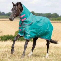 Shires Tempest 100g Turnout Rugs With Detachable Necks