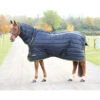 Shires Tempest 300g Combo Stable Rug - Heavyweight 6'3 -The Horse Care Shop shires shires tempest 300g combo stable rug heavyweight 63 32157.1638147019