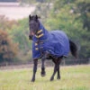 Shires Tempest 300g Heavyweight Combo Turnout Rug 1 Shires Tempest 300g Heavyweight Combo Turnout Rug -The Horse Care Shop shires shires tempest 300g heavyweight combo turnout rug 06158.1631696310
