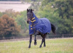 Shires Tempest 300g Heavyweight Combo Turnout Rug