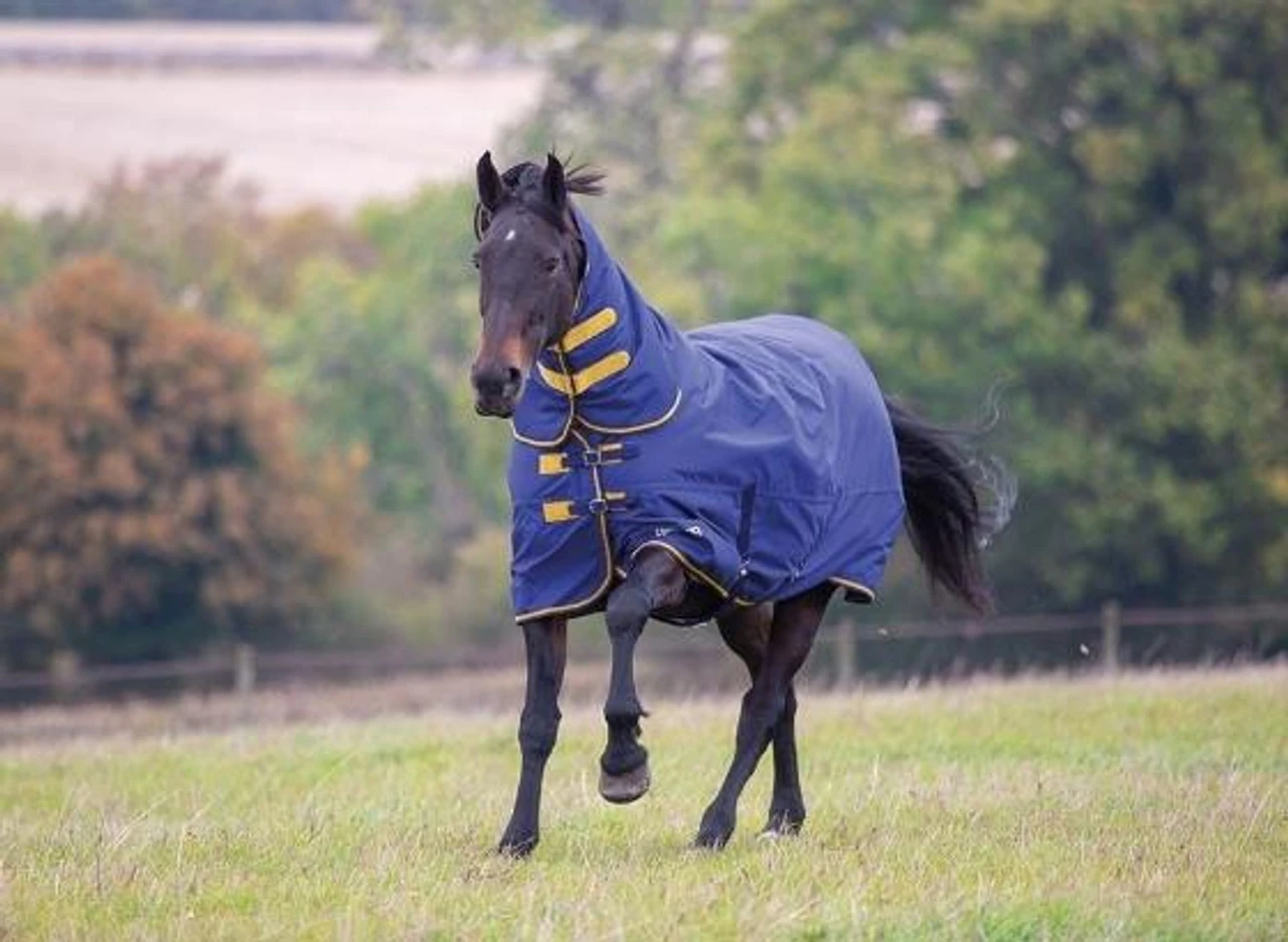 Shires Tempest 300g Heavyweight Combo Turnout Rug 3 Shires Tempest 300g Heavyweight Combo Turnout Rug