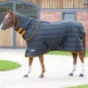 Shires Tempest 300g Stable Rug & Neck Set - Heavyweight 5'9 Or 6'0 -The Horse Care Shop shires shires tempest 300g stable rug and neck set heavyweight 30410.1631522929