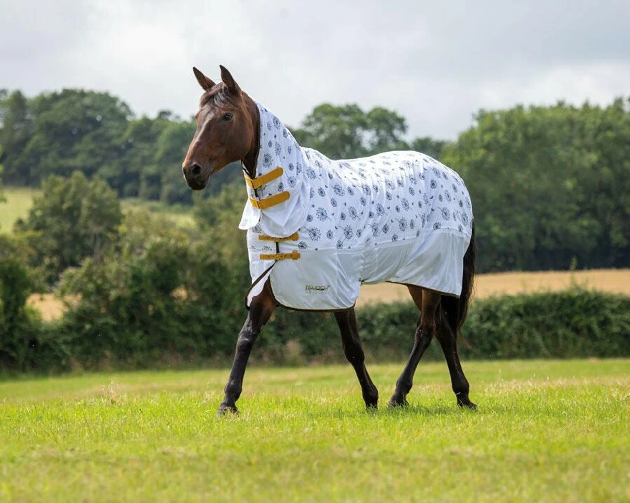 Shires Tempest Dandelion Fly Rug 3 Shires Tempest Dandelion Fly Rug