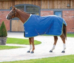 Shires Tempest Lightweight Stable Rugs