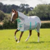 Shires Tempest Summer Shield With Mesh Fly Rug 2 Shires Tempest Summer Shield With Mesh Fly Rug -The Horse Care Shop shires shires tempest summer shield with mesh fly rug 52034.1631524823
