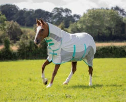 Shires Tempest Summer Shield With Mesh Fly Rug