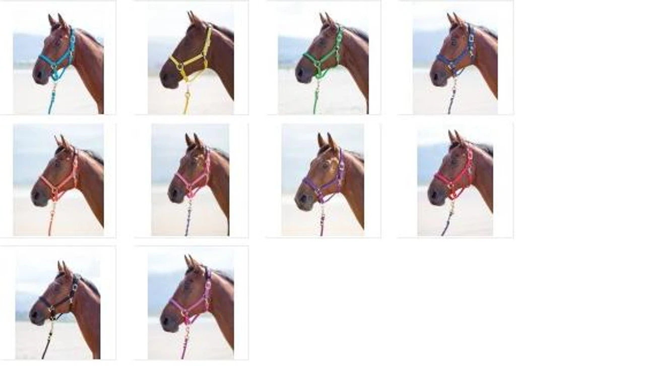 Shires Topaz Headcollars - All Sizes 3 Shires Topaz Headcollars - All Sizes