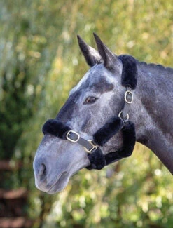 Shires Supafleece Halter Fleeces - 9 Pieces