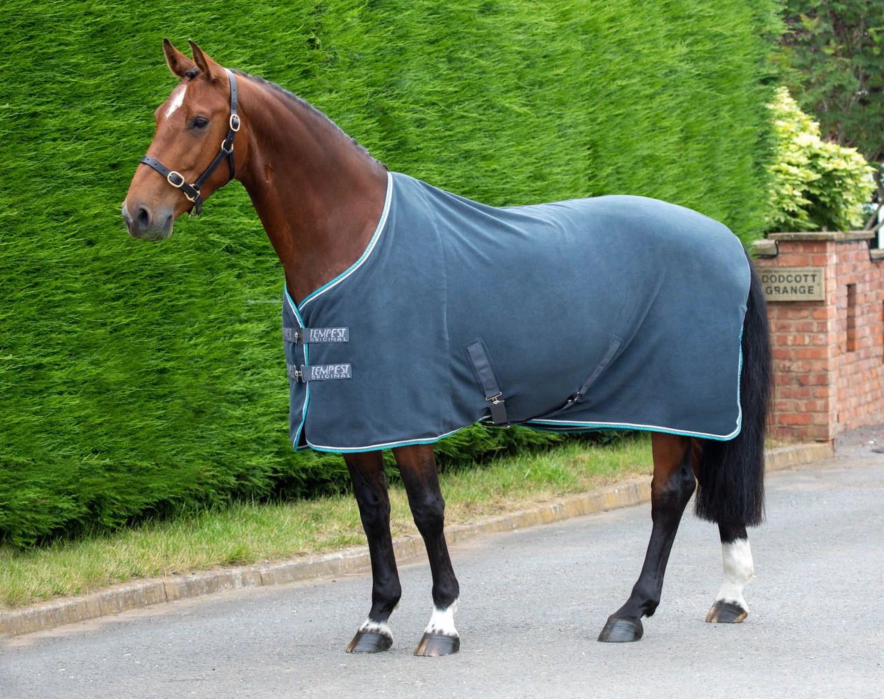 Shires Tempest Fleece Cooler Rugs - All Colours 4 Shires Tempest Fleece Cooler Rugs - All Colours - Image 2