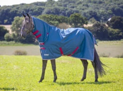 Shires Tempest Lightweight Combo Turnout Rugs
