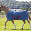 Shires Tempest Lightweight Turnout Rugs 1 Shires Tempest Lightweight Turnout Rugs -The Horse Care Shop shires tempest lightweight turnout rugs 38926.1644297834