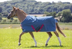 Shires Tempest Lightweight Turnout Rugs