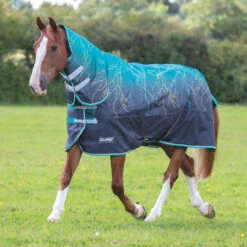 Shires Tempest Mediumweight Combo Turnout Rugs - 200g -The Horse Care Shop shires tempest mediumweight combo turnout rugs 200g 52113.1666705007