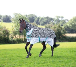 Shires Tempest Zeb-Tek Zebra Fly Rugs