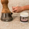 Smart Grooming Hoof Shine - 425g 2 Smart Grooming Hoof Shine - 425g -The Horse Care Shop smart grooming hoof shine 425g 26178.1656669956