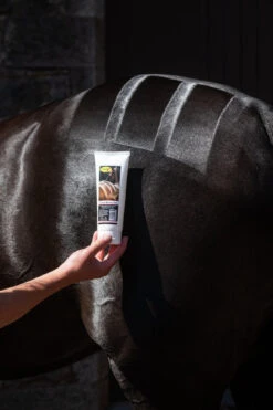 Smart Grooming Quarter Marking Gel - 200g 8 Smart Grooming Quarter Marking Gel - 200g -The Horse Care Shop smart grooming quarter marking gel 200g 19945.1667223768