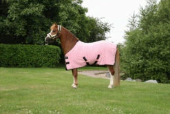 Supreme Products Dotty Fleece Rug - All Colours 11 Supreme Products Dotty Fleece Rug - All Colours -The Horse Care Shop supreme products dotty fleece rug all colours 19765.1649661036