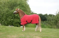 Supreme Products Dotty Fleece Rug - All Colours