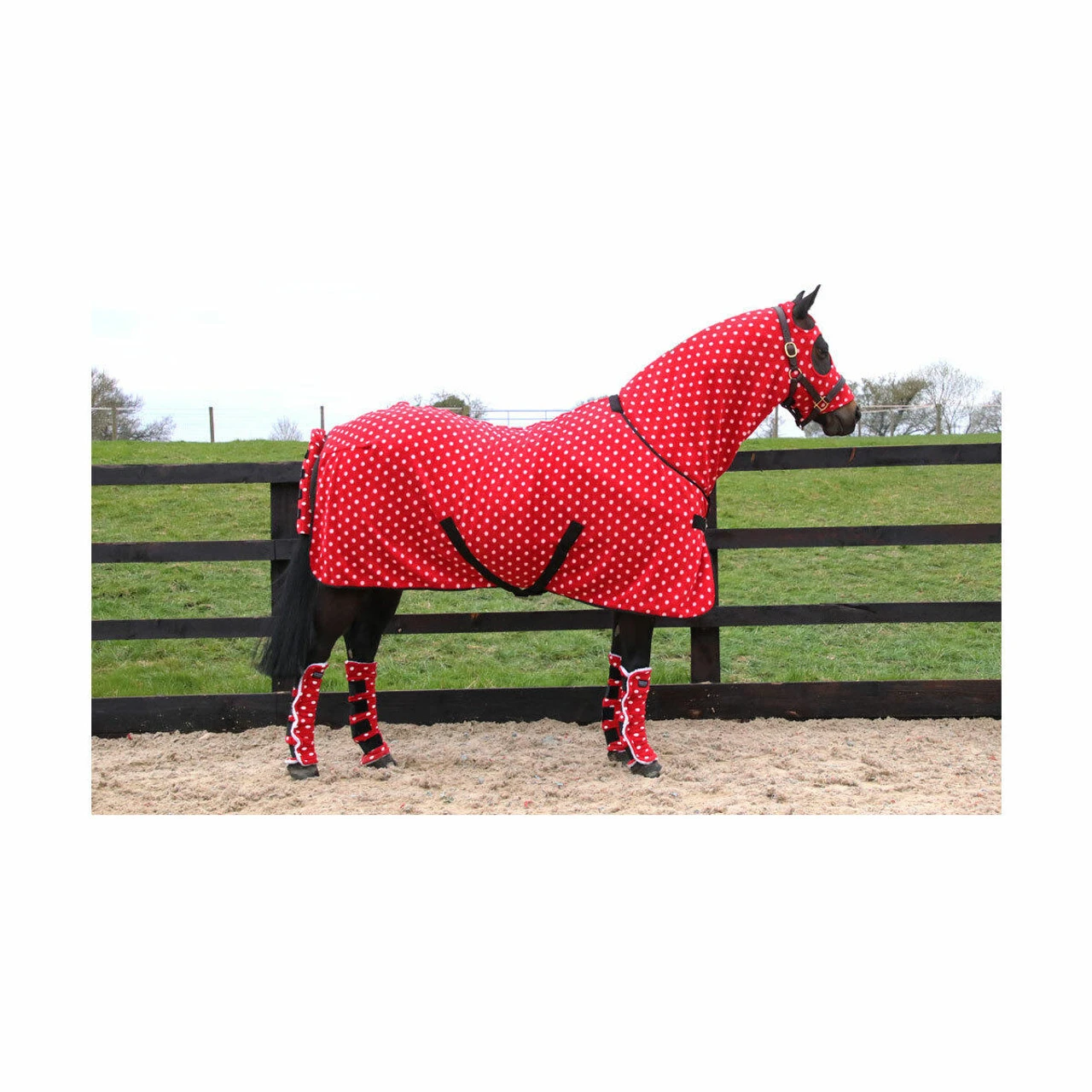 Supreme Products Dotty Fleece Rug - All Colours 4 Supreme Products Dotty Fleece Rug - All Colours - Image 2