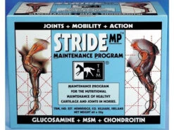 TRM Stride MP Maintenance Joint Supplement
