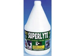 TRM Superlyte Syrup Electrolytes - All Sizes