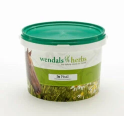 Wendals 'In Foal' For Mares Herbal Mix - 1kg
