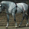 Whitaker Lunging Aid With Roller (Training System) 1 Whitaker Lunging Aid With Roller (Training System) -The Horse Care Shop whitaker international whitaker lunging aid with roller training system 79688.1631696781