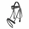 Whitaker Lynton Flash Bridle With 2 Browbands 2 Whitaker Lynton Flash Bridle With 2 Browbands -The Horse Care Shop whitaker international whitaker lynton flash bridle with 2 browbands 29884.1650699626