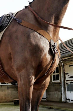 Whitaker Ready To Ride Elasticated Breastplate -The Horse Care Shop whitaker international whitaker ready to ride elasticated breastplate 06635.1650613247