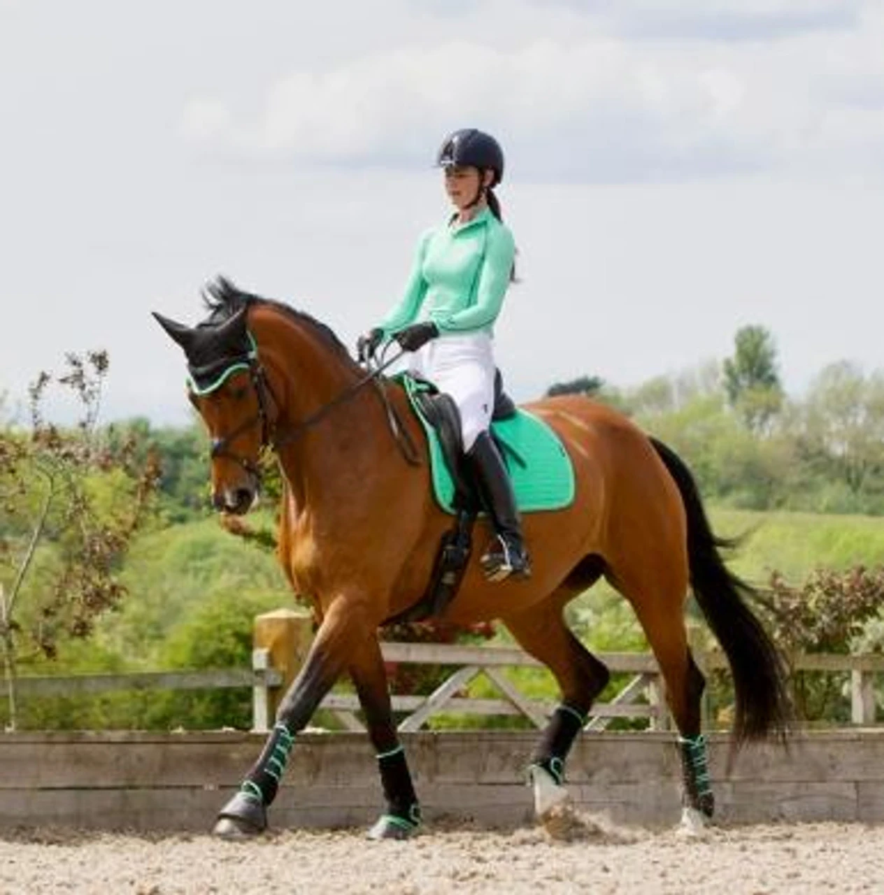 Woof Wear Colour Fusion Dressage Wraps - All Colours 9 Woof Wear Colour Fusion Dressage Wraps - All Colours - Image 7