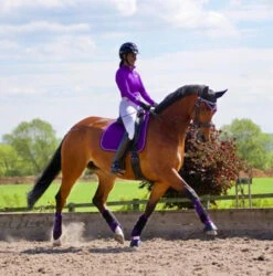 Woof Wear Colour Fusion Dressage Wraps - All Colours 14 Woof Wear Colour Fusion Dressage Wraps - All Colours -The Horse Care Shop woof wear woof wear colour fusion dressage wraps all colours 14679.1631353946