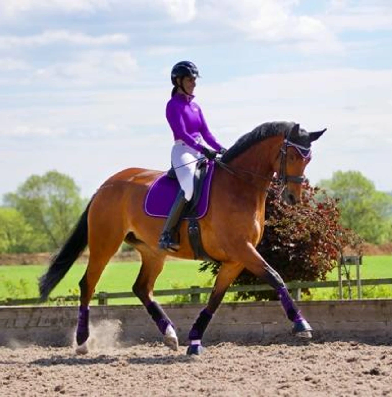 Woof Wear Colour Fusion Dressage Wraps - All Colours 8 Woof Wear Colour Fusion Dressage Wraps - All Colours - Image 6